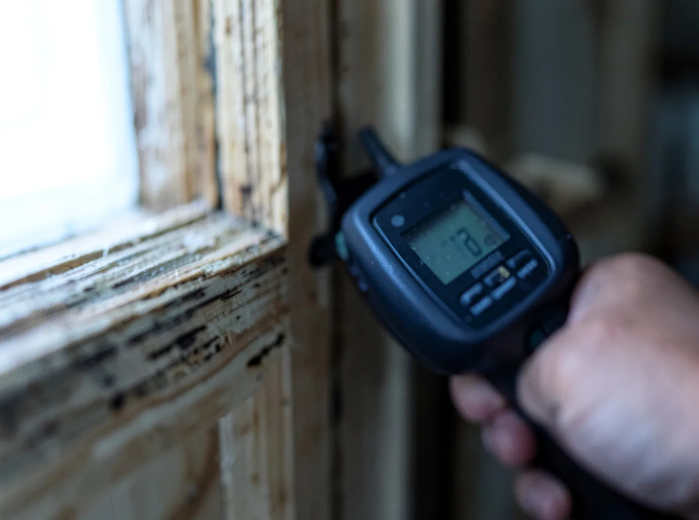 Moisture Inspection And Documentation in Nunam Iqua, AK